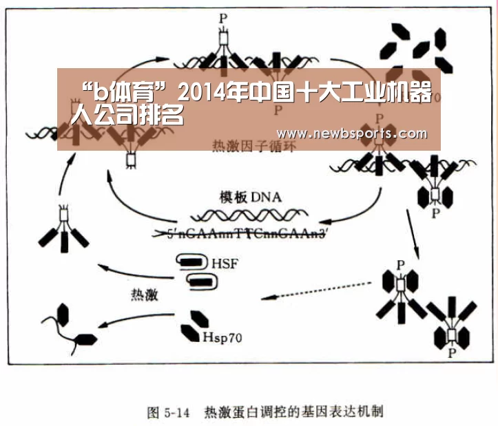“b体育”2014年中国十大工业机器人公司排名(图2) b体育app